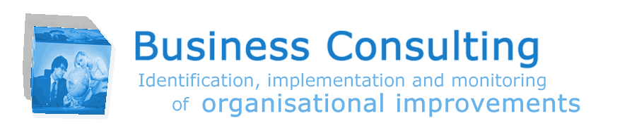 Business Consulting